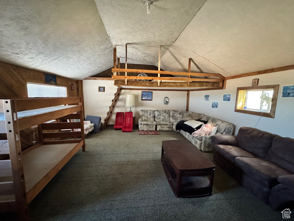 Living room featuring lofted ceiling, carpet flooring, and a textured ceiling