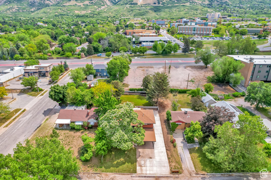 Bird\'s eye view