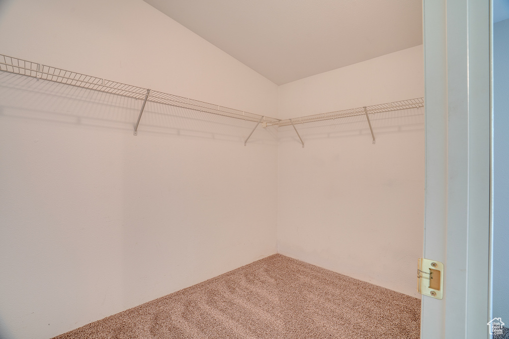 Walk in closet featuring carpet floors