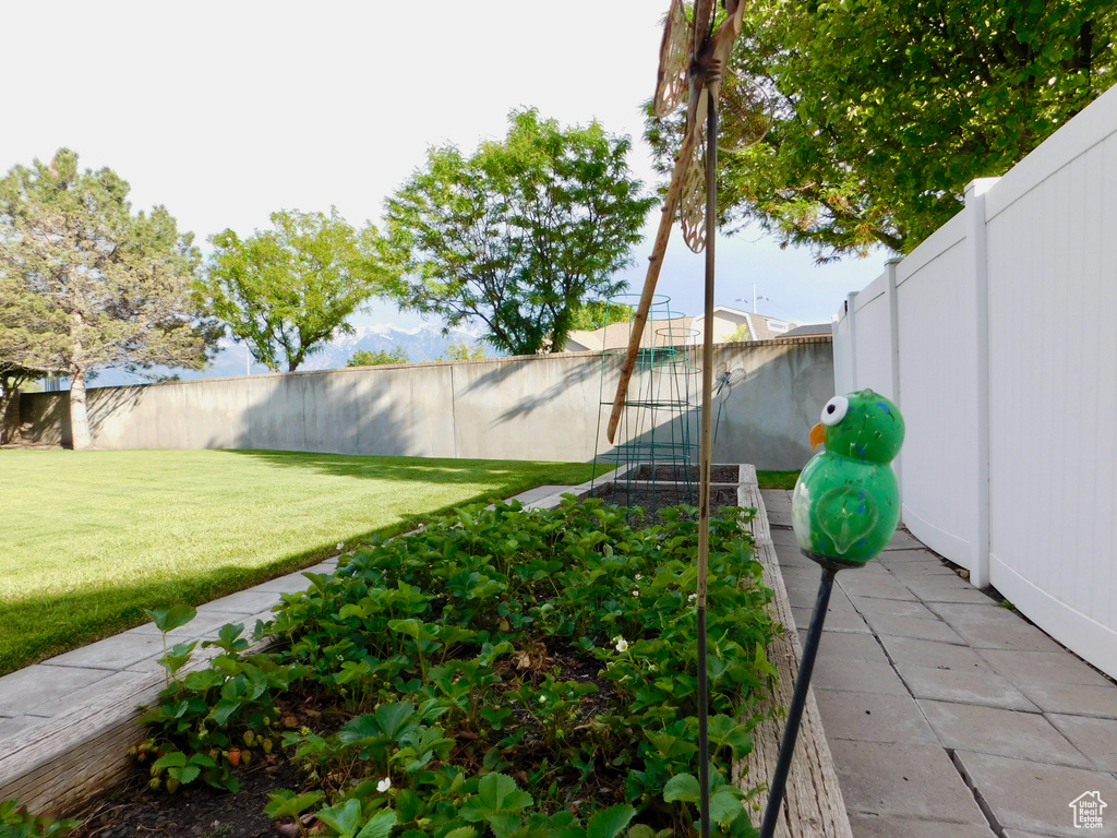 View of yard with a vegetable garden