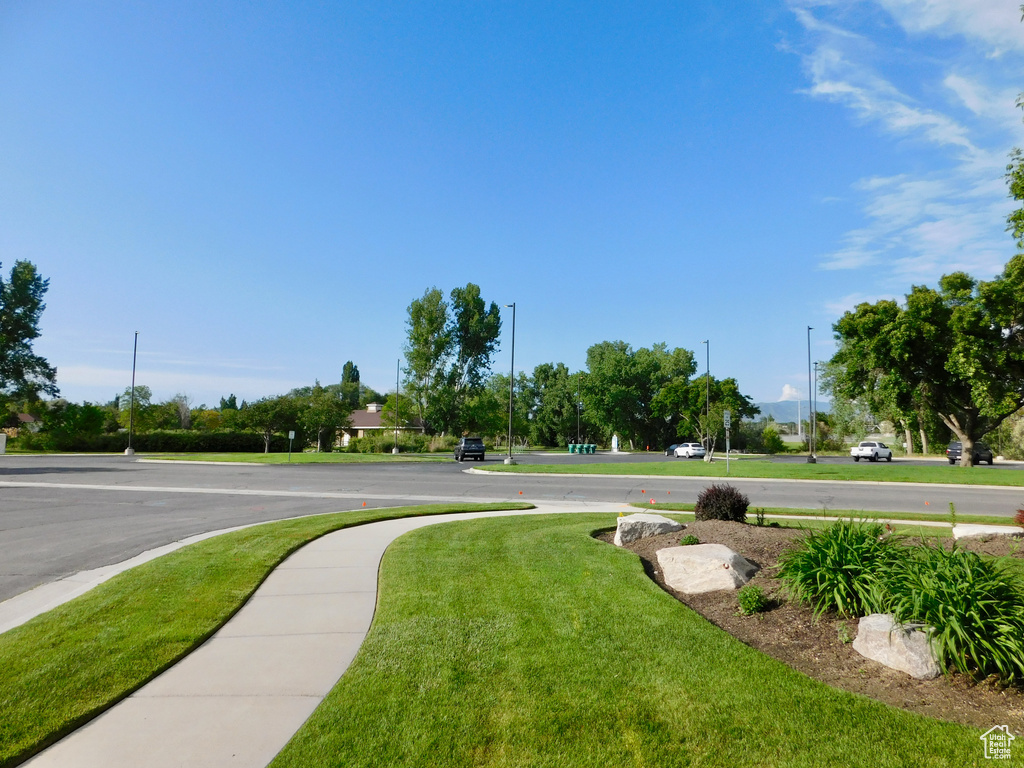 View of asphalt street