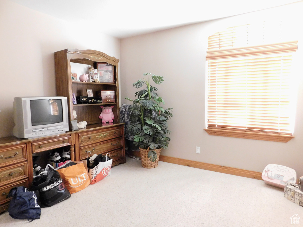 Office area with carpet flooring