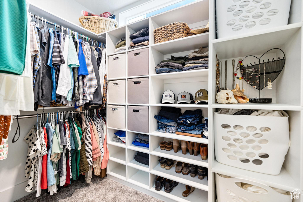 Spacious closet featuring carpet floors