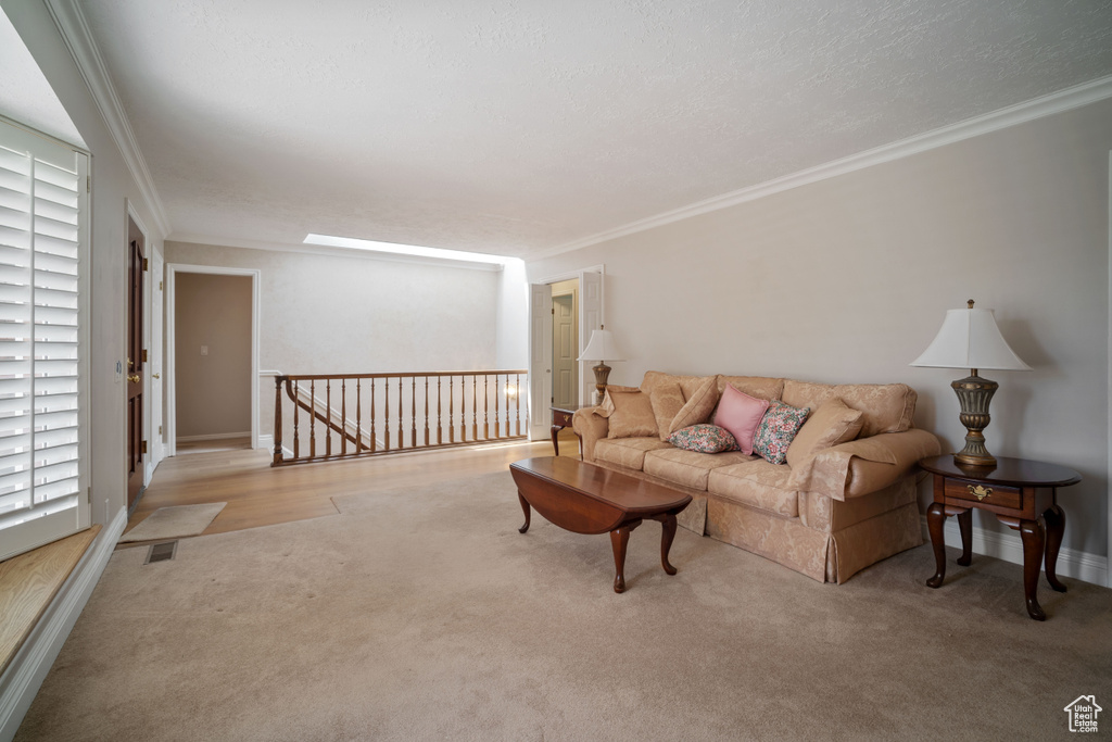 Carpeted living area with crown molding