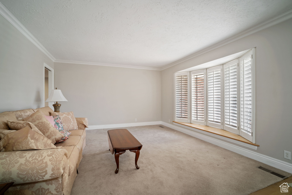 Carpeted living area with ornamental molding, a textured ceiling, and baseboards