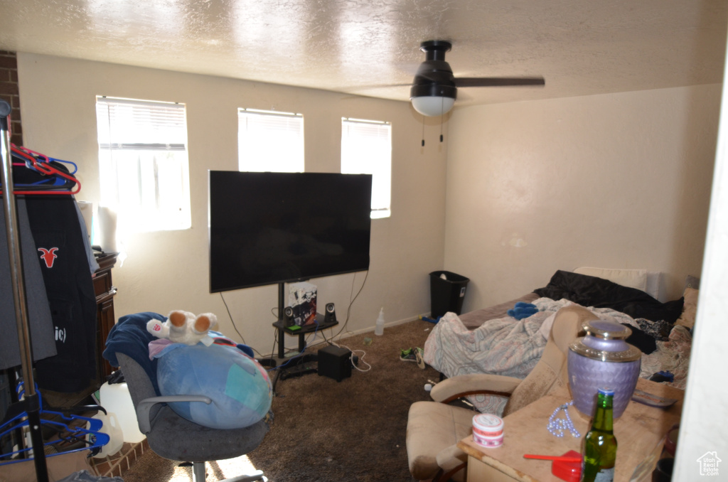 Carpeted living area featuring a textured ceiling and a ceiling fan
