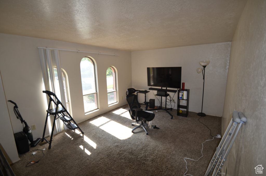 Workout area with carpet and a textured ceiling