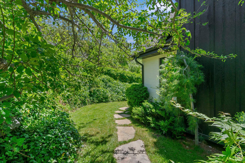 View of grassy yard