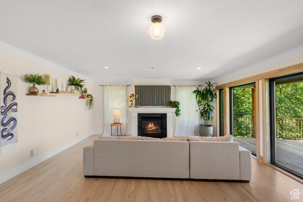 Living room featuring crown molding, a glass covered fireplace, wood finished floors, baseboards, and recessed lighting