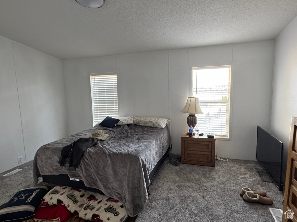 Carpeted bedroom featuring a textured ceiling