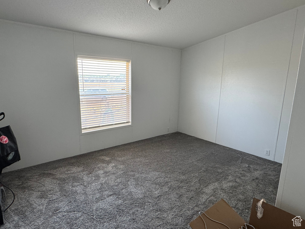 Unfurnished room with carpet floors and a textured ceiling