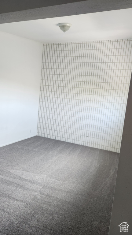 Empty room featuring carpet floors