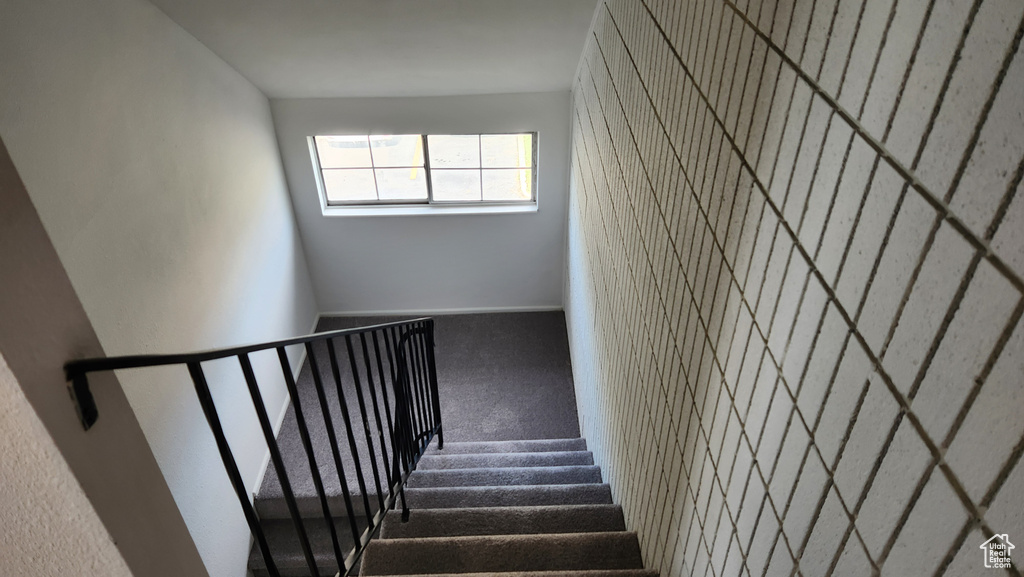 Staircase with carpet floors