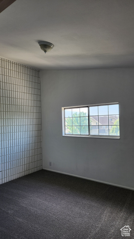 Carpeted empty room with baseboards