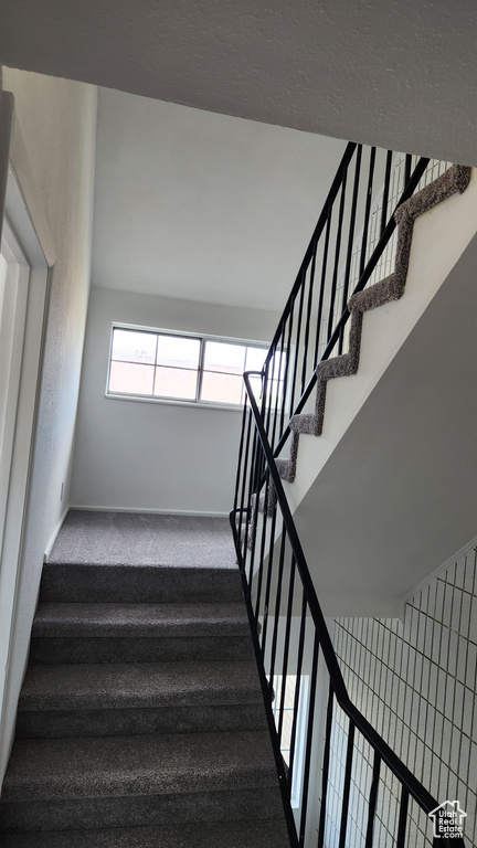 Staircase with carpet flooring and baseboards
