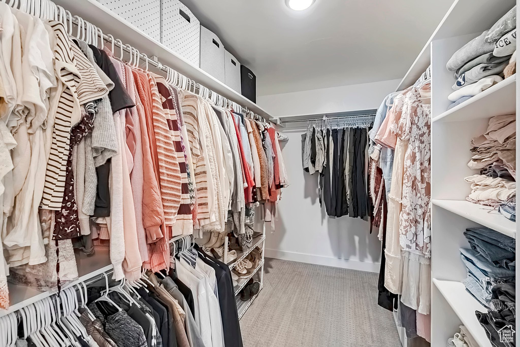 Spacious closet featuring carpet