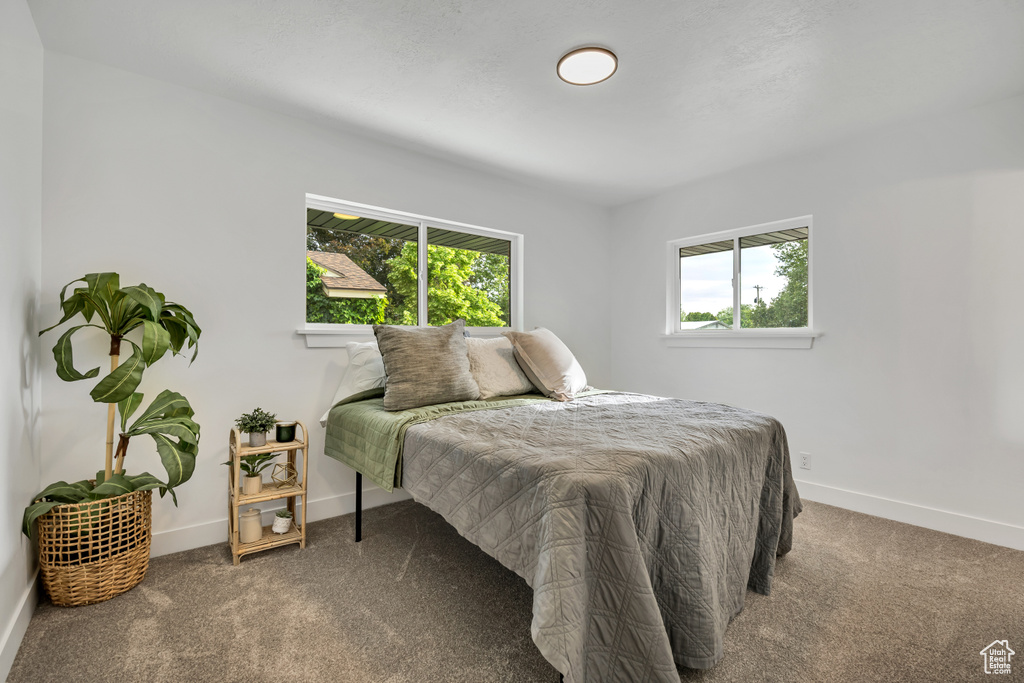 Bedroom featuring carpet floors, multiple windows, and baseboards