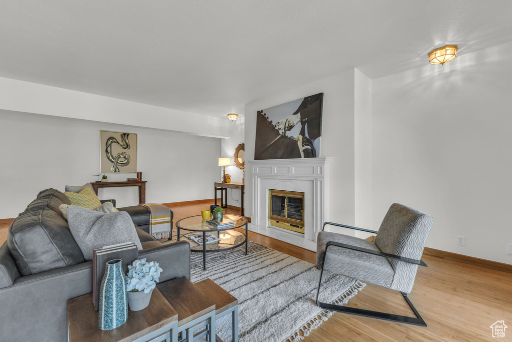 Living room featuring wood finished floors, baseboards, and a fireplace