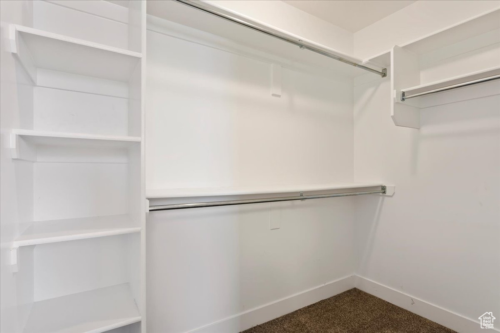 Spacious closet featuring dark carpet