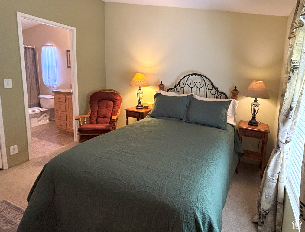 Carpeted bedroom with connected bathroom