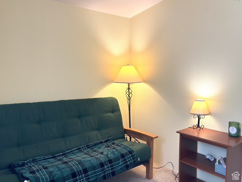 Living area featuring carpet floors
