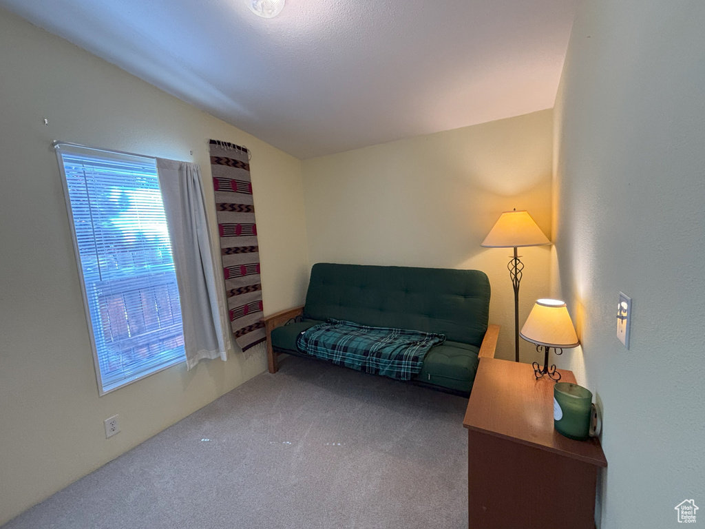 Living area featuring carpet and vaulted ceiling