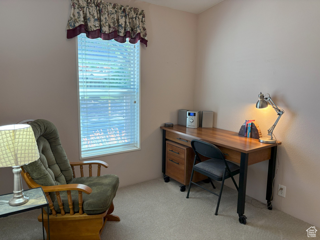 Office area with light colored carpet