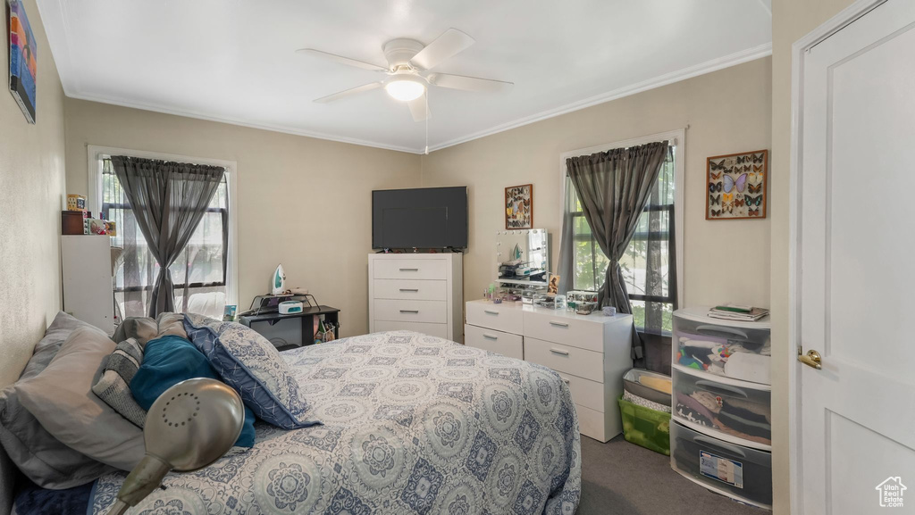 Bedroom with multiple windows, ornamental molding, carpet, and a ceiling fan