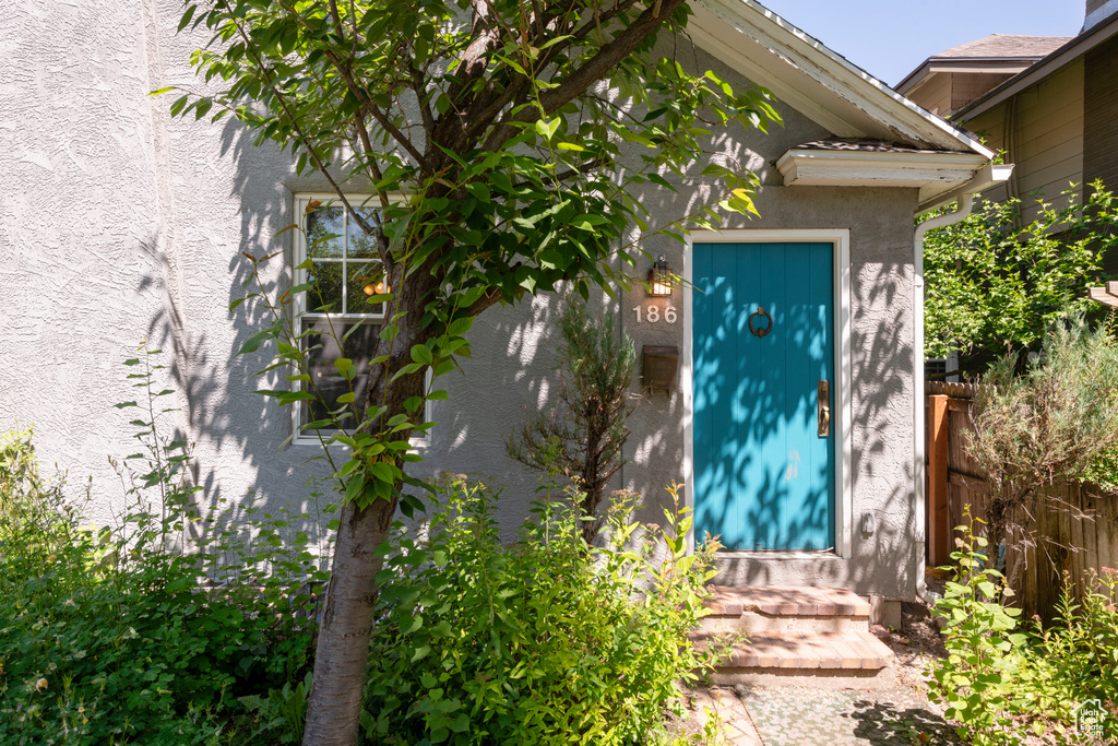 Doorway to property featuring stucco siding
