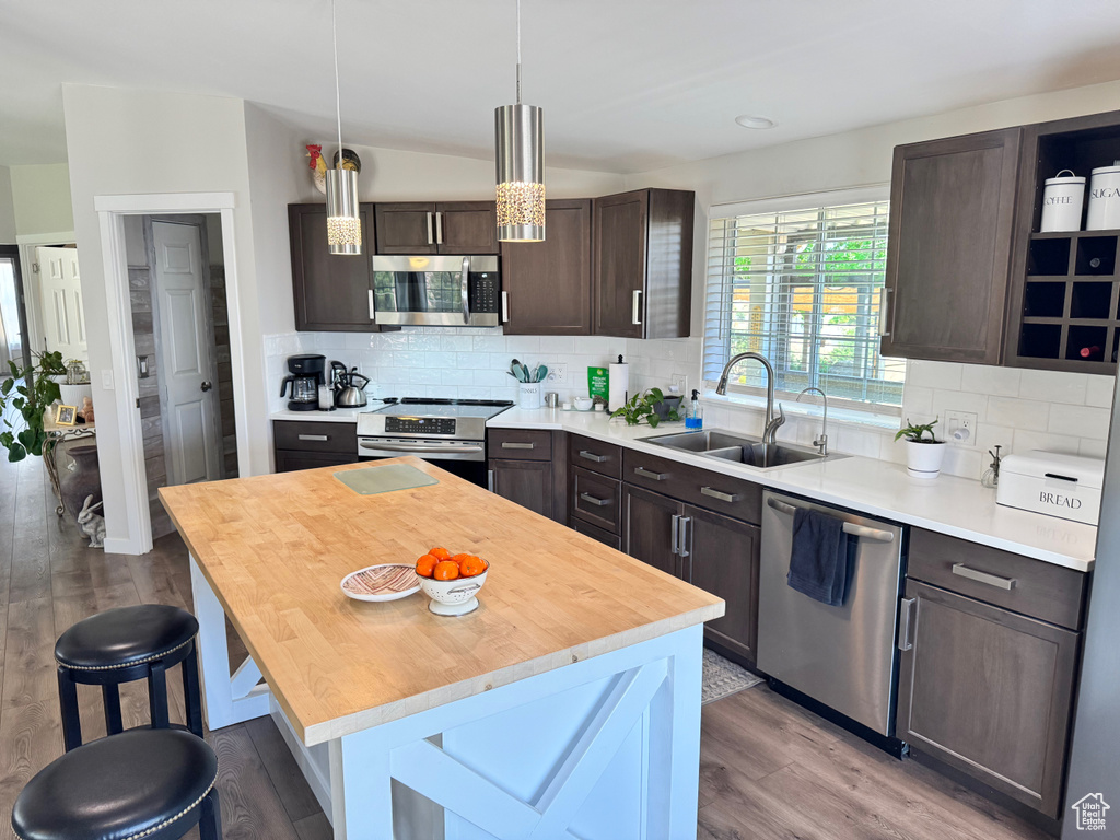 Kitchen featuring appliances with stainless steel finishes, a sink, dark brown cabinets, wood finished floors, and decorative backsplash