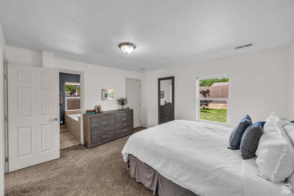 Carpeted bedroom with multiple windows