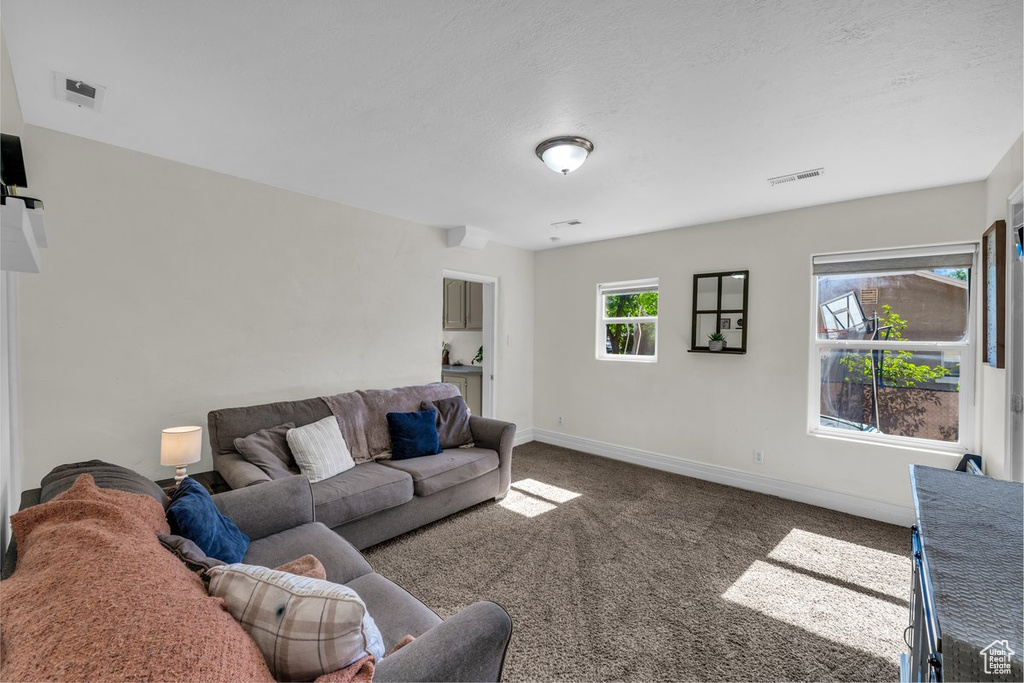 Carpeted living room with baseboards