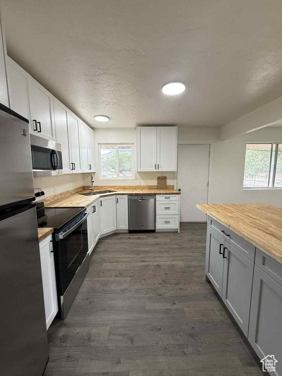 Kitchen with stainless steel appliances, wooden counters, a sink, healthy amount of natural light, and recessed lighting