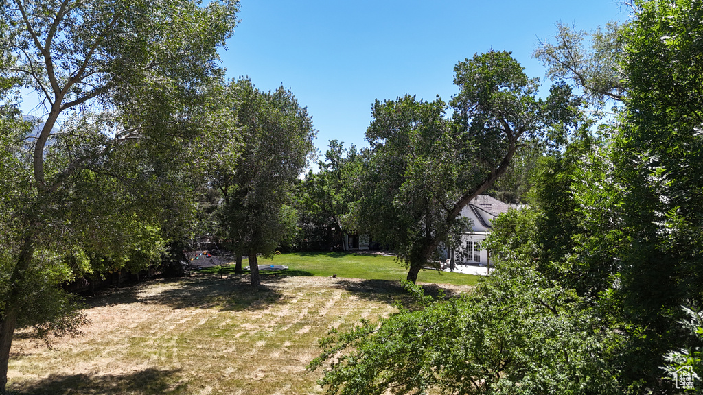 View of green lawn