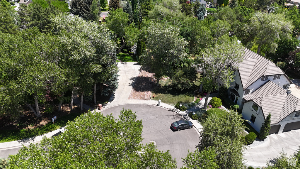 Bird's eye view of a tree filled landscape