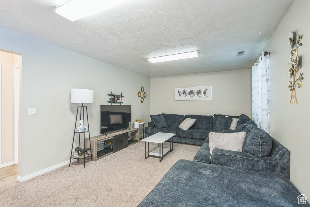 Living room with carpet floors, a textured ceiling, and baseboards