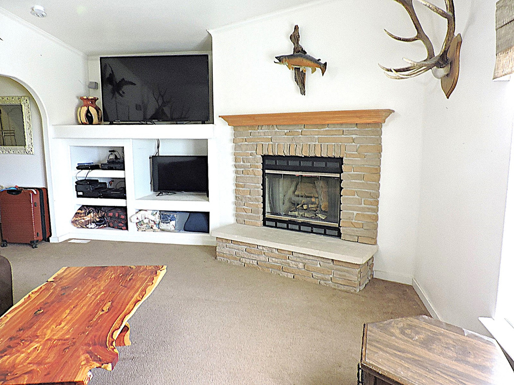 Carpeted living room with a fireplace and built in shelves