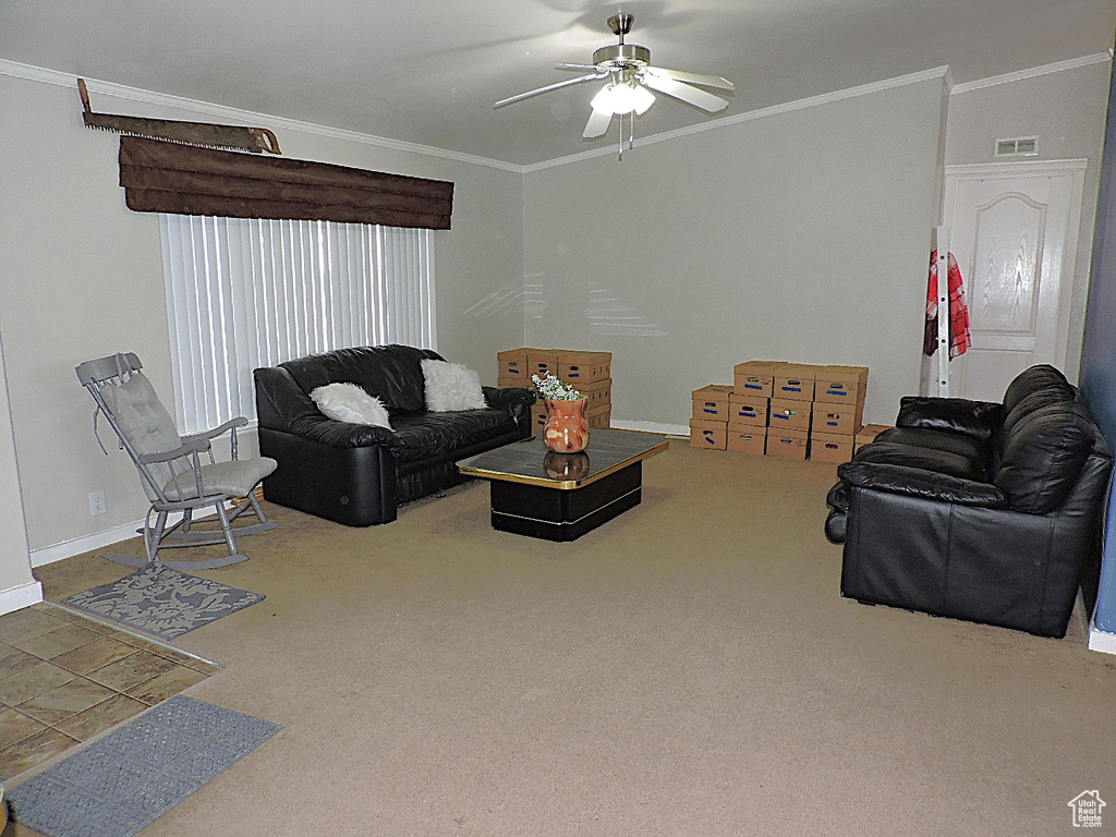 Living area featuring carpet flooring, ornamental molding, a ceiling fan, and baseboards