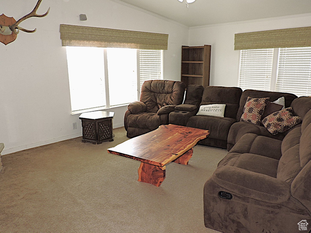 Carpeted living room with plenty of natural light, lofted ceiling, ornamental molding, ceiling fan, and baseboards
