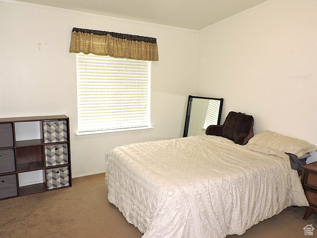 Bedroom featuring carpet flooring, ornamental molding, and baseboards