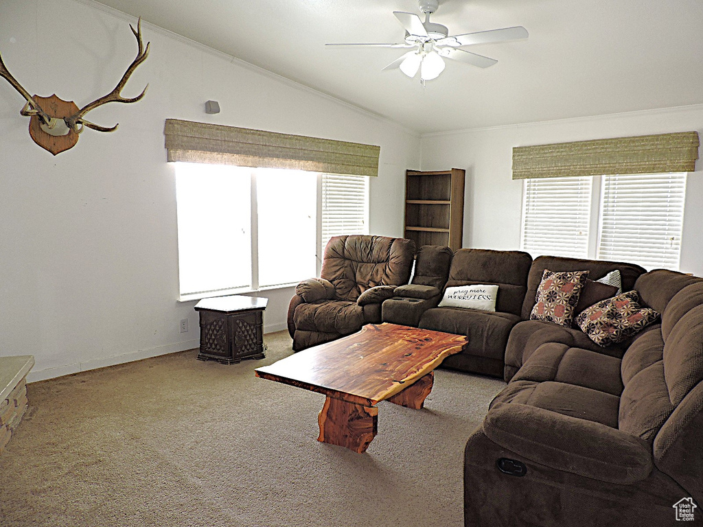 Carpeted living area featuring lofted ceiling, a ceiling fan, healthy amount of natural light, baseboards, and crown molding