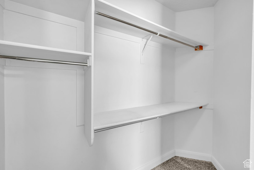 Walk in closet with carpet flooring