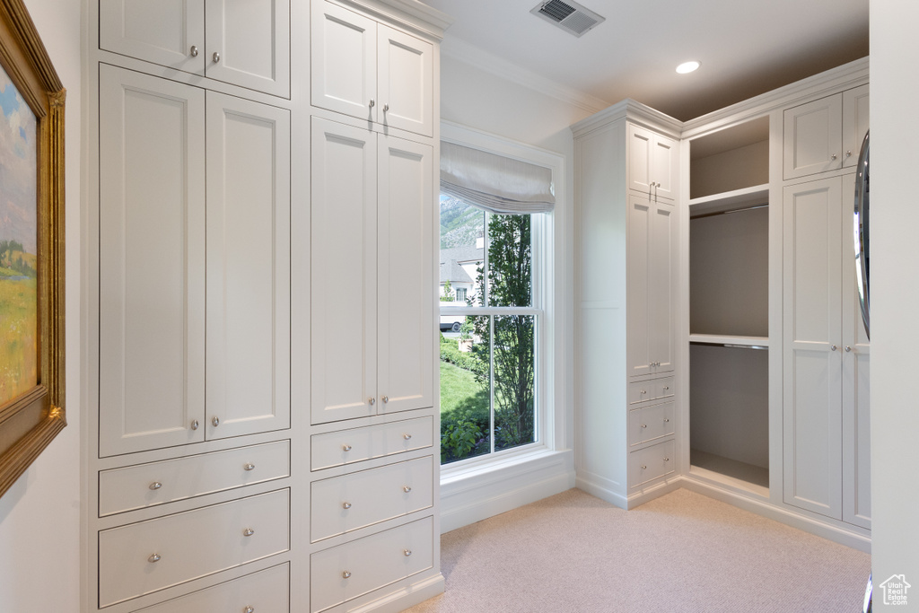 Spacious closet featuring light carpet