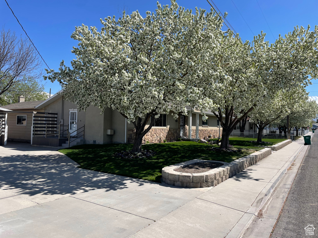View of front of home featuring stone siding, stucco siding, a front lawn, and concrete driveway