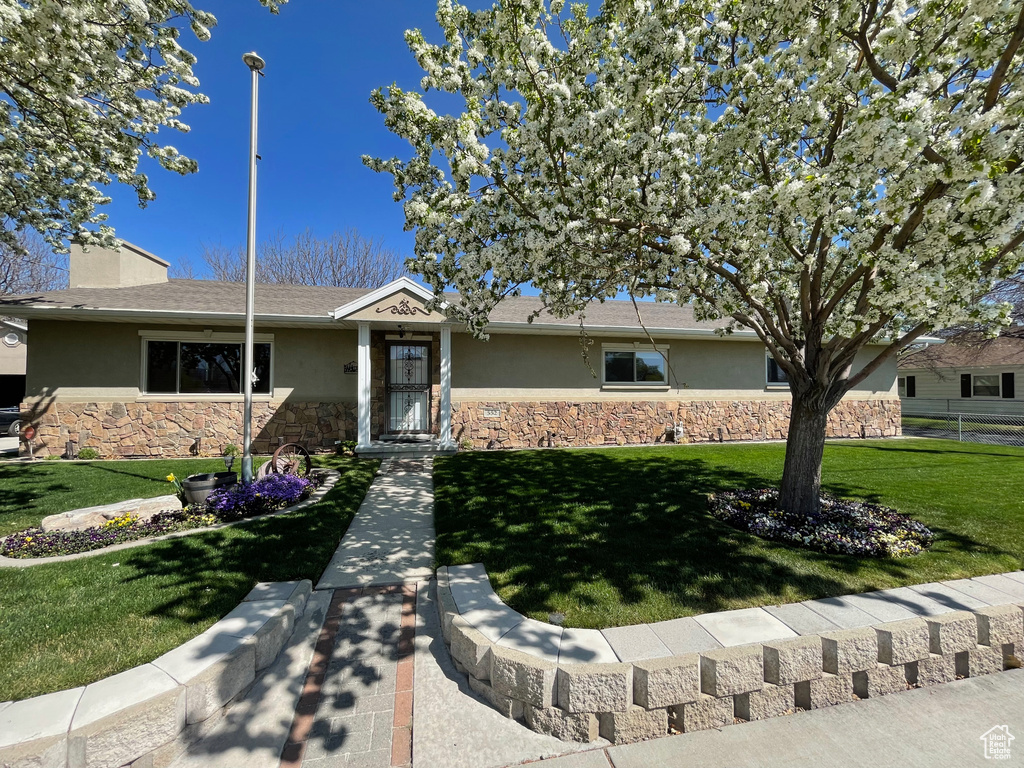 Single story home featuring stucco siding, a front lawn, and stone siding