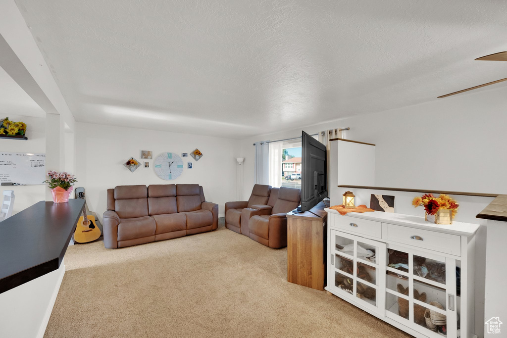 Living room featuring carpet and a textured ceiling