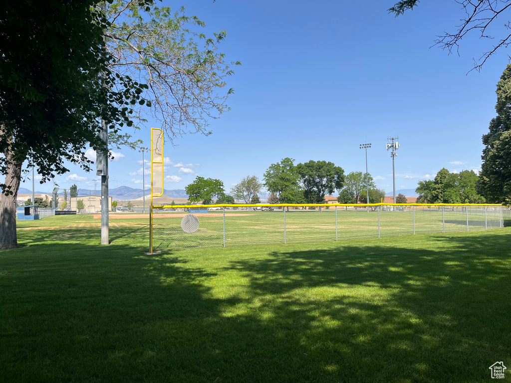 View of grassy yard