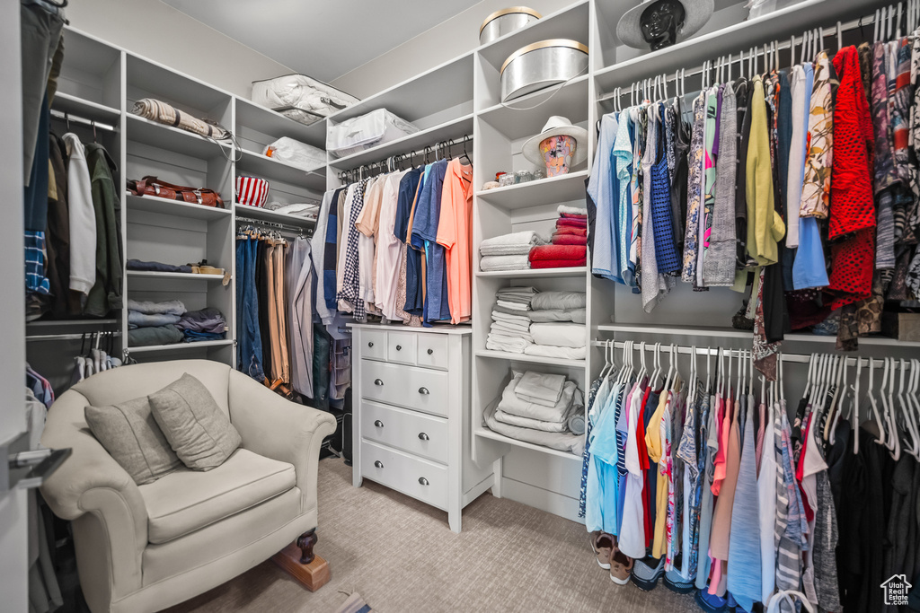 Spacious closet featuring carpet floors