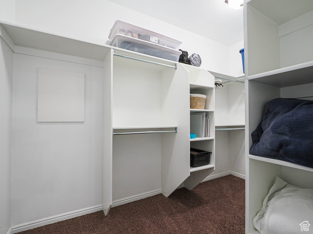 Walk in closet with carpet