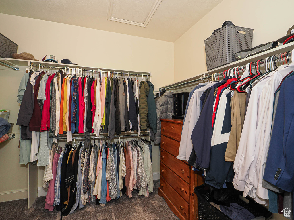 Spacious closet featuring attic access and carpet flooring
